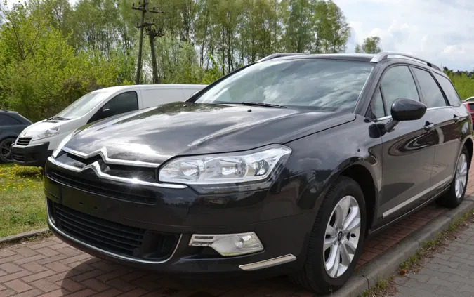 samochody osobowe Volkswagen Golf cena 43900 przebieg: 92046, rok produkcji 2013 z Kowary